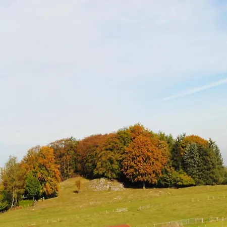Am Forstweg Yalet * Brilon-Wald