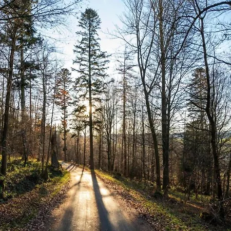 Hébergement de vacances Am Forstweg Yalet *