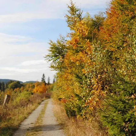 Am Forstweg Yalet Hébergement de vacances Brilon-Wald